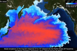 독일 GEOMAR가 지난해 시물레이션한 세슘 137의 2013년 3월 기준 확산도. 빨간색일수록 강도가 높으며, 해류의 영향으로 동쪽으로 주로 확산되는 모습을 보여준다.  